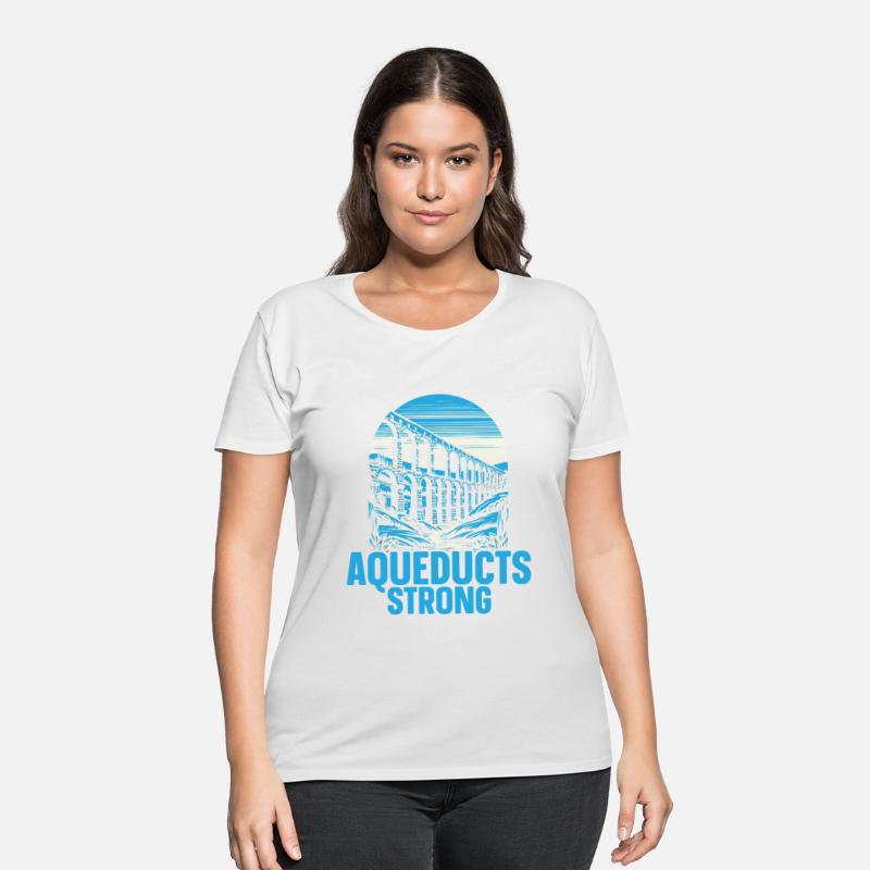 Roman Aqueducts Roman Engineering Ancient Rome