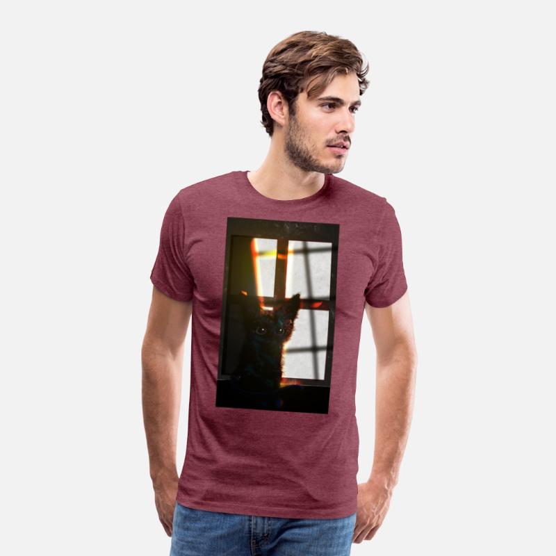 Shadow Cat