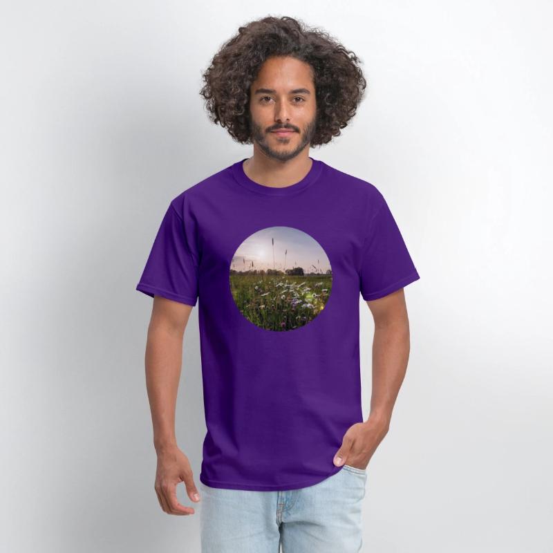 Sunny natural landscape with flowers