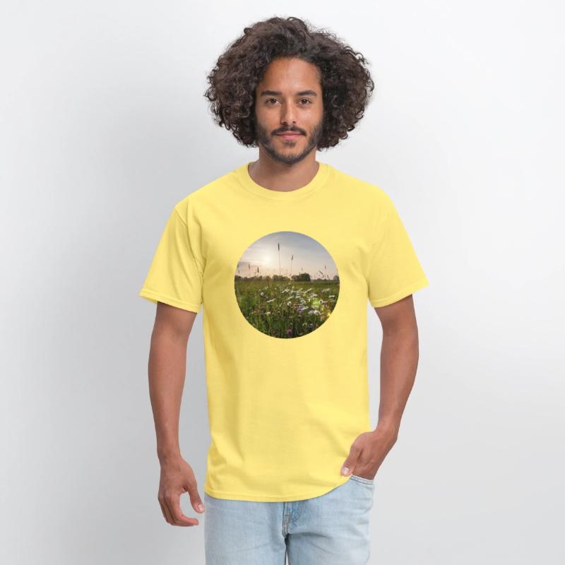 Sunny natural landscape with flowers