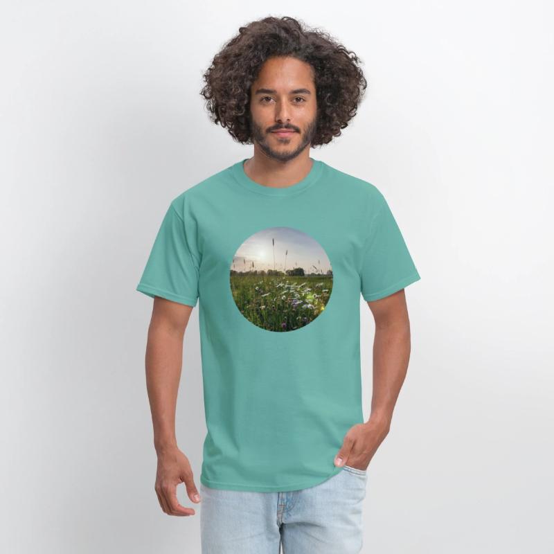 Sunny natural landscape with flowers