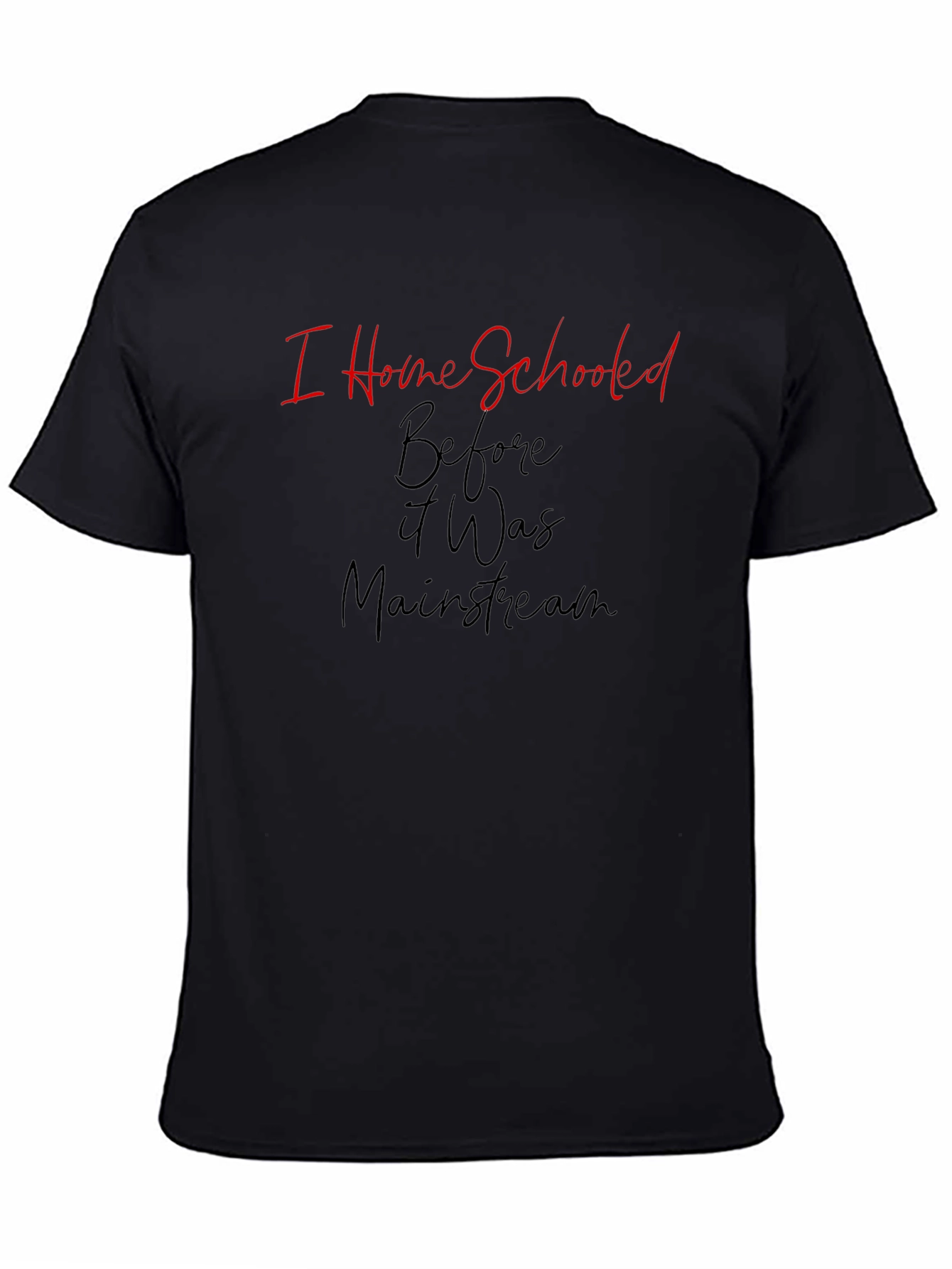 I Home Schooled Before It Was Mainstream T-Shirt