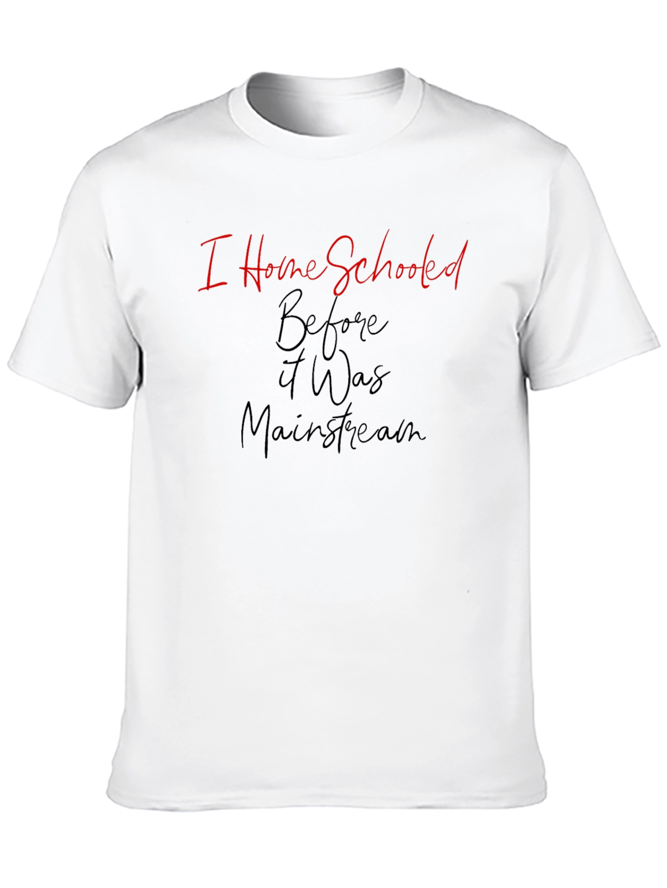 I Home Schooled Before It Was Mainstream T-Shirt