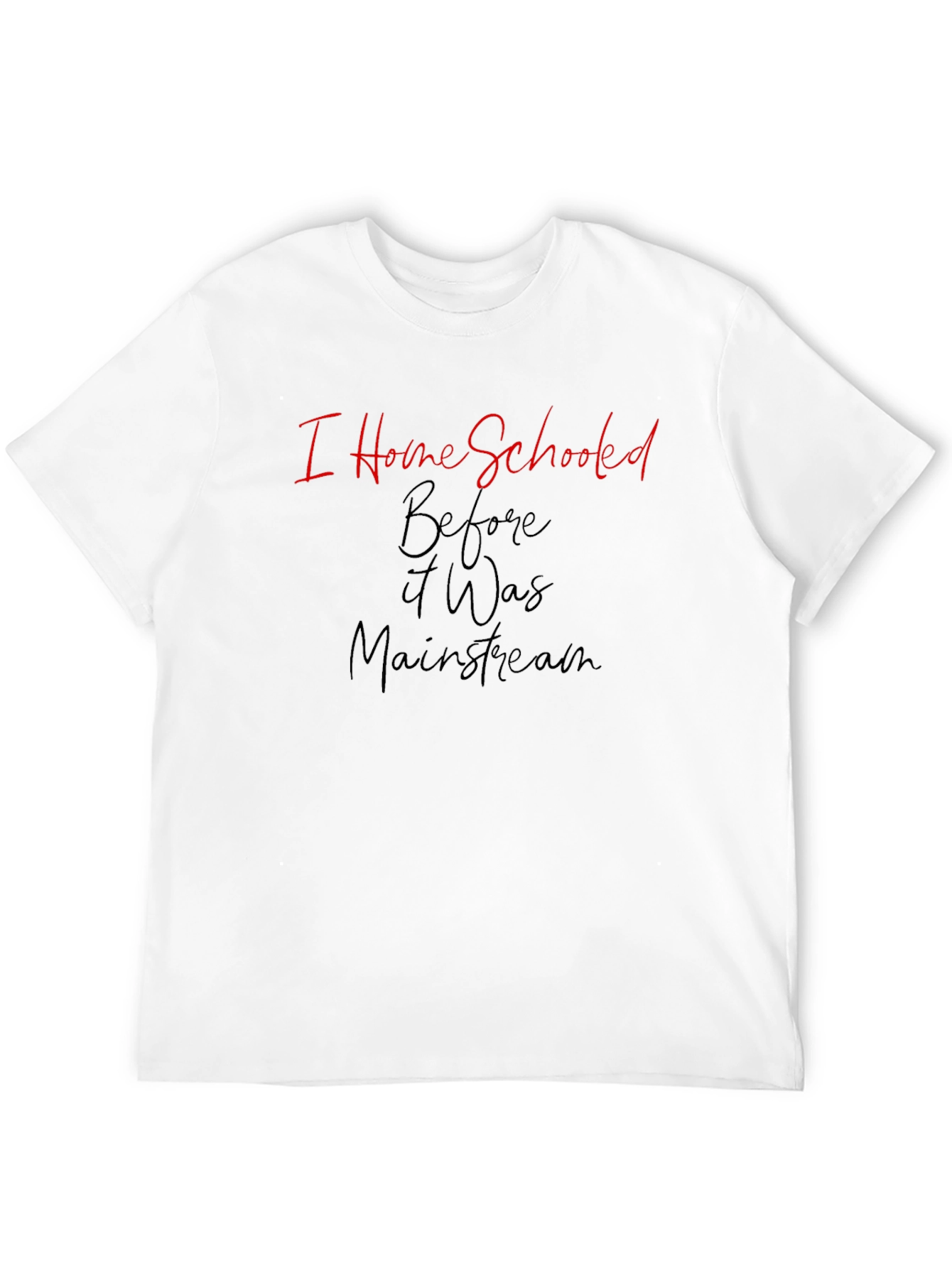 I Home Schooled Before It Was Mainstream T-Shirt